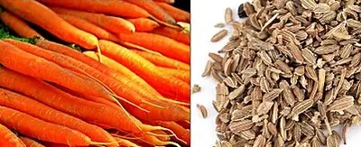 Carrot