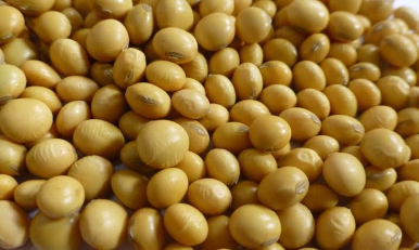 Soybeans
