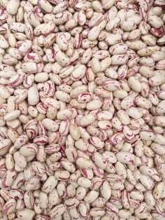 Beans