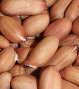 Groundnuts